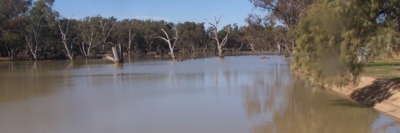 Loddon Weir