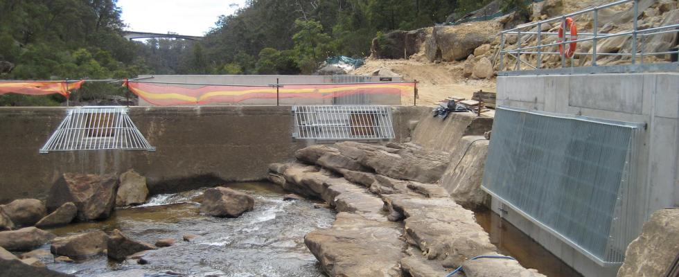 SCA’s Pheasants Nest Flow Management and Fish Passage Works