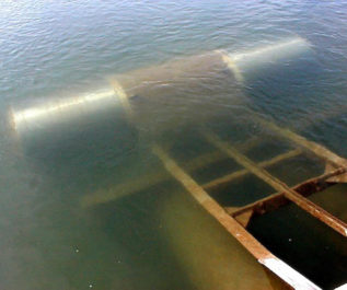 Fish Exclusion Screens