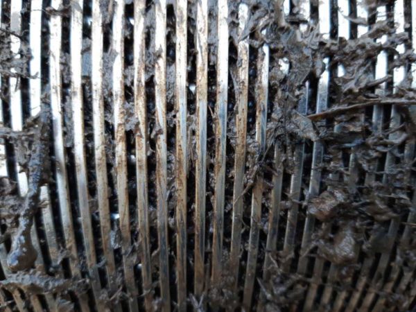 FES: Why does a Fish Screen need to be 'Self Cleaning'? - AWMA