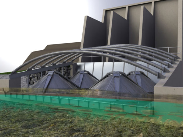 Fish Protection Screens - AWMA