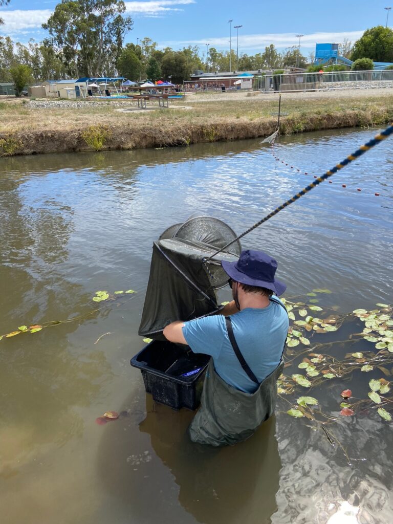 fish-screen-testing fish-screen-testing